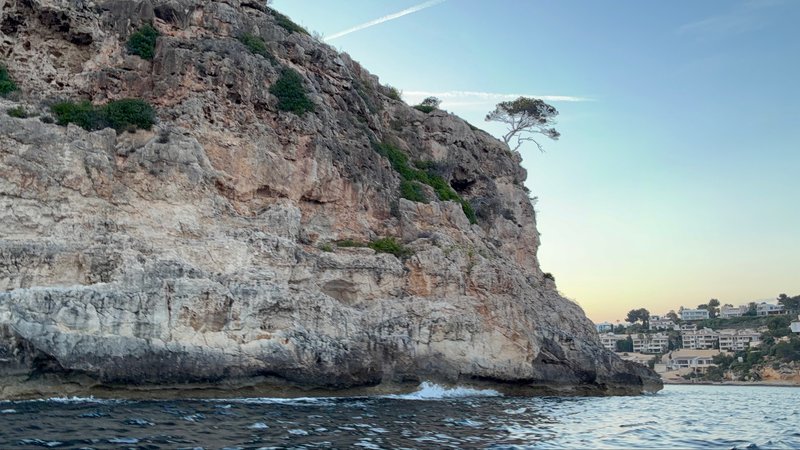A tall sandy-colored cliff with a lone pine tree at its edge, waves breaking at its base, with a village visible in the distance at dusk